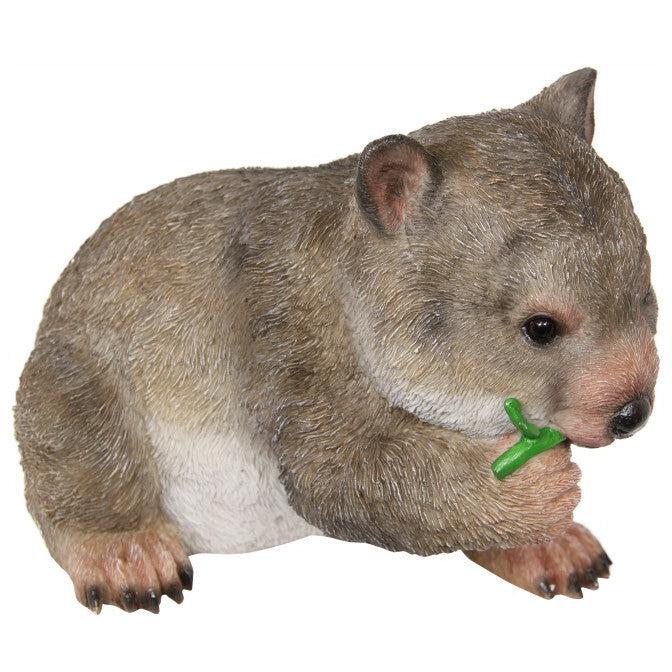 Wombat Eating Leaves - Dollars and Sense