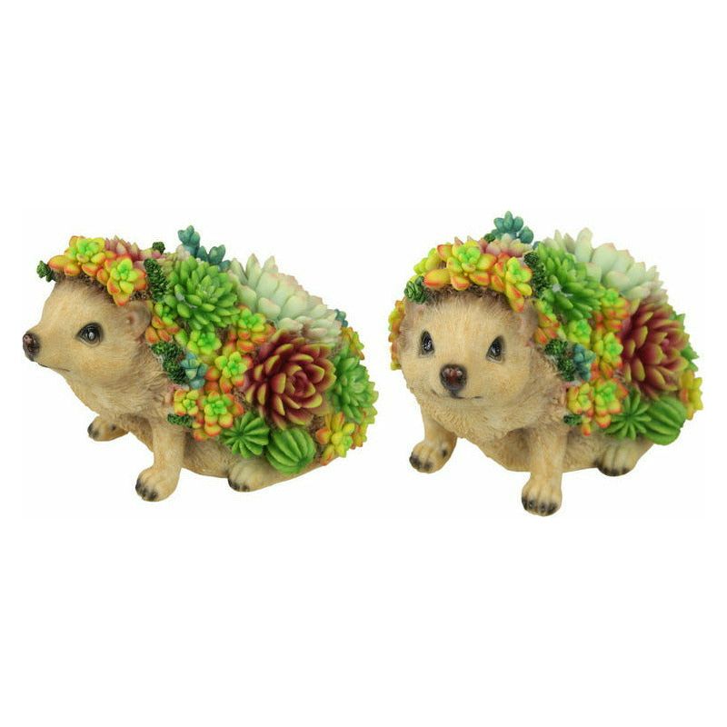 Succulent Garden Hedgehog - 22cm 1 Piece Assorted - Dollars and Sense