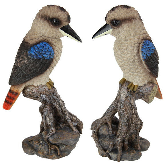 Kookaburra on Log - Dollars and Sense