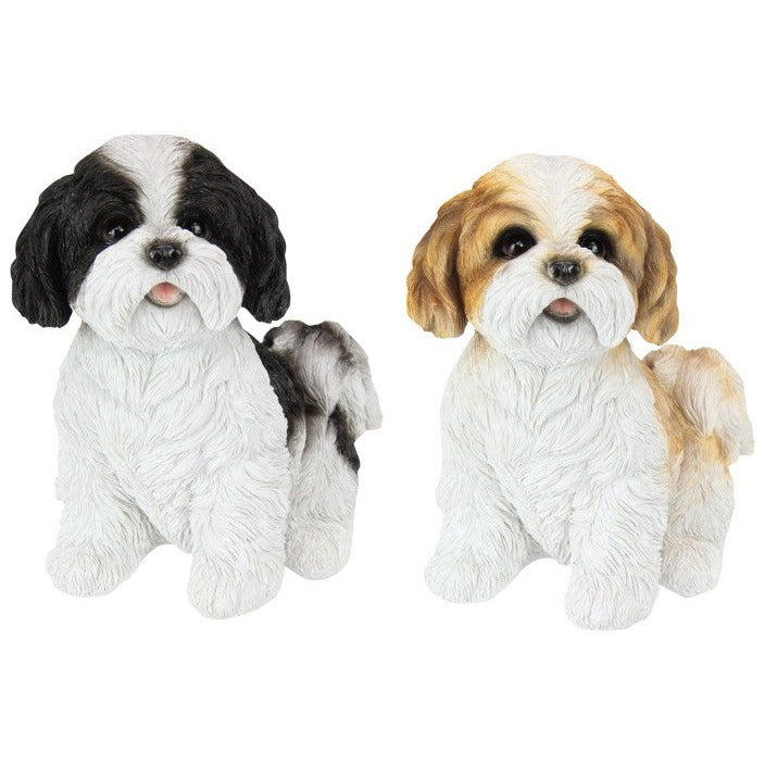 Cute Sitting Cavoodle - Assorted - Dollars and Sense