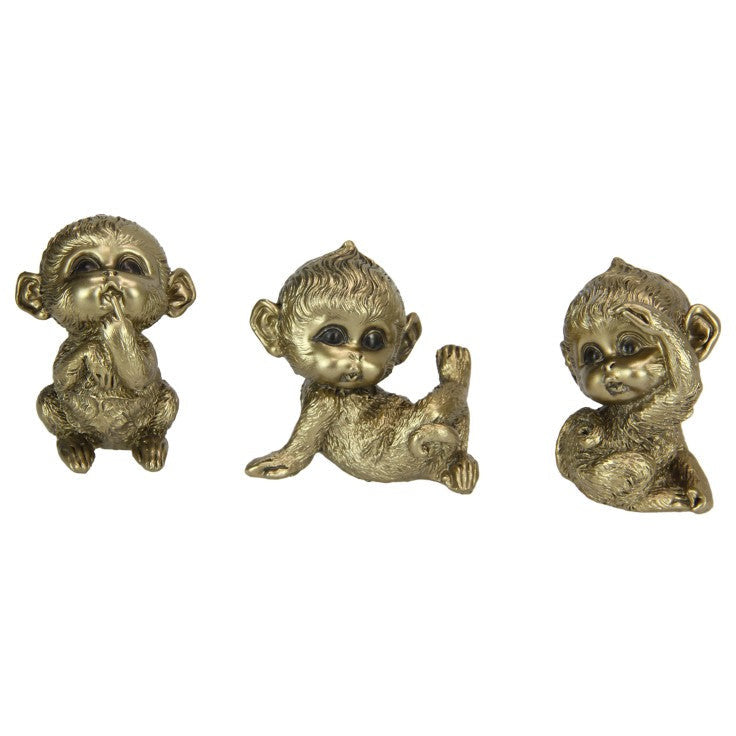 Cute Gold Monkey - Dollars and Sense