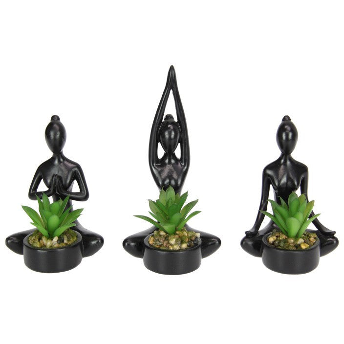 Yoga Lady with Succulent - Dollars and Sense