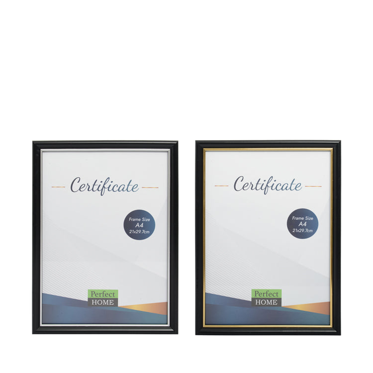 Document - Certificate Frame A4 - Dollars and Sense