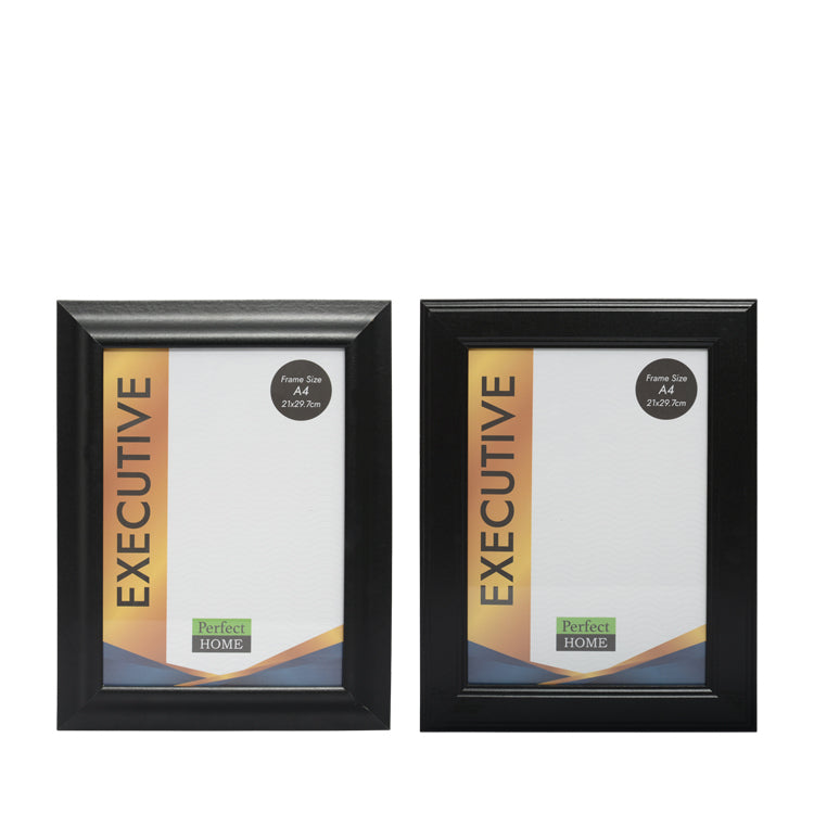 Executive Document Frame A4 - Dollars and Sense