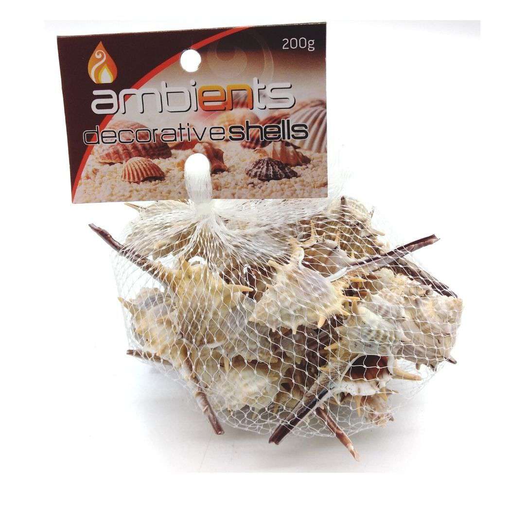 Buy Cheap art & craft online | Decorative Shells 210g|  Dollars and Sense cheap and low prices in australia