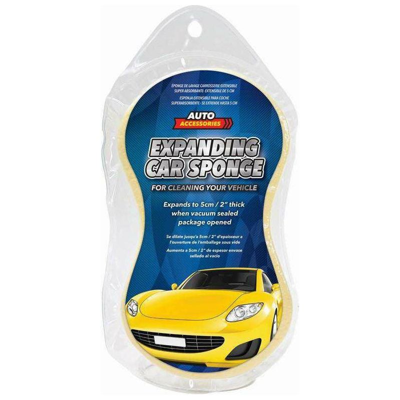Car Sponge Vacuum Sealed - Dollars and Sense