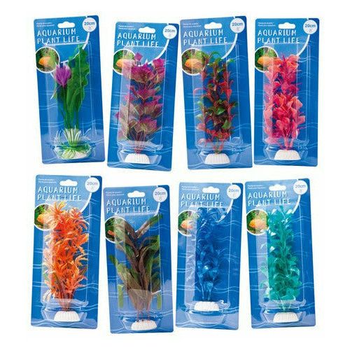 Aquarium Plant Life - 20cm 1 Piece Assorted - Dollars and Sense