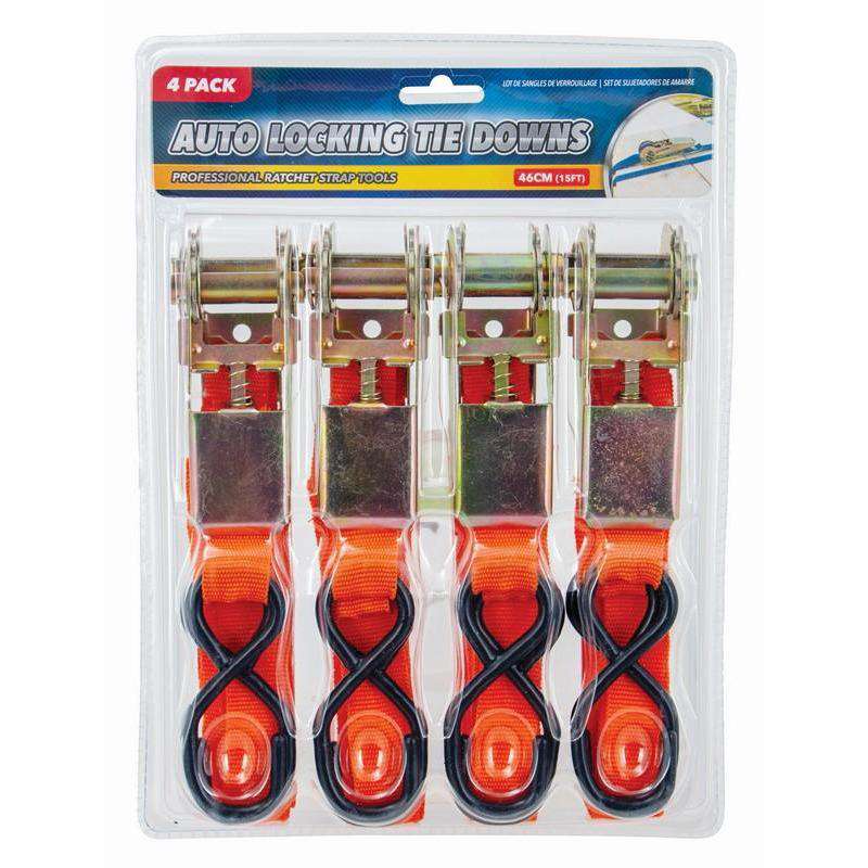 Locking Tie Down 4Pk 2Asst - Dollars and Sense