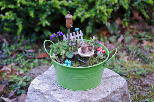 Create Your Own Fairy Garden On A Budget