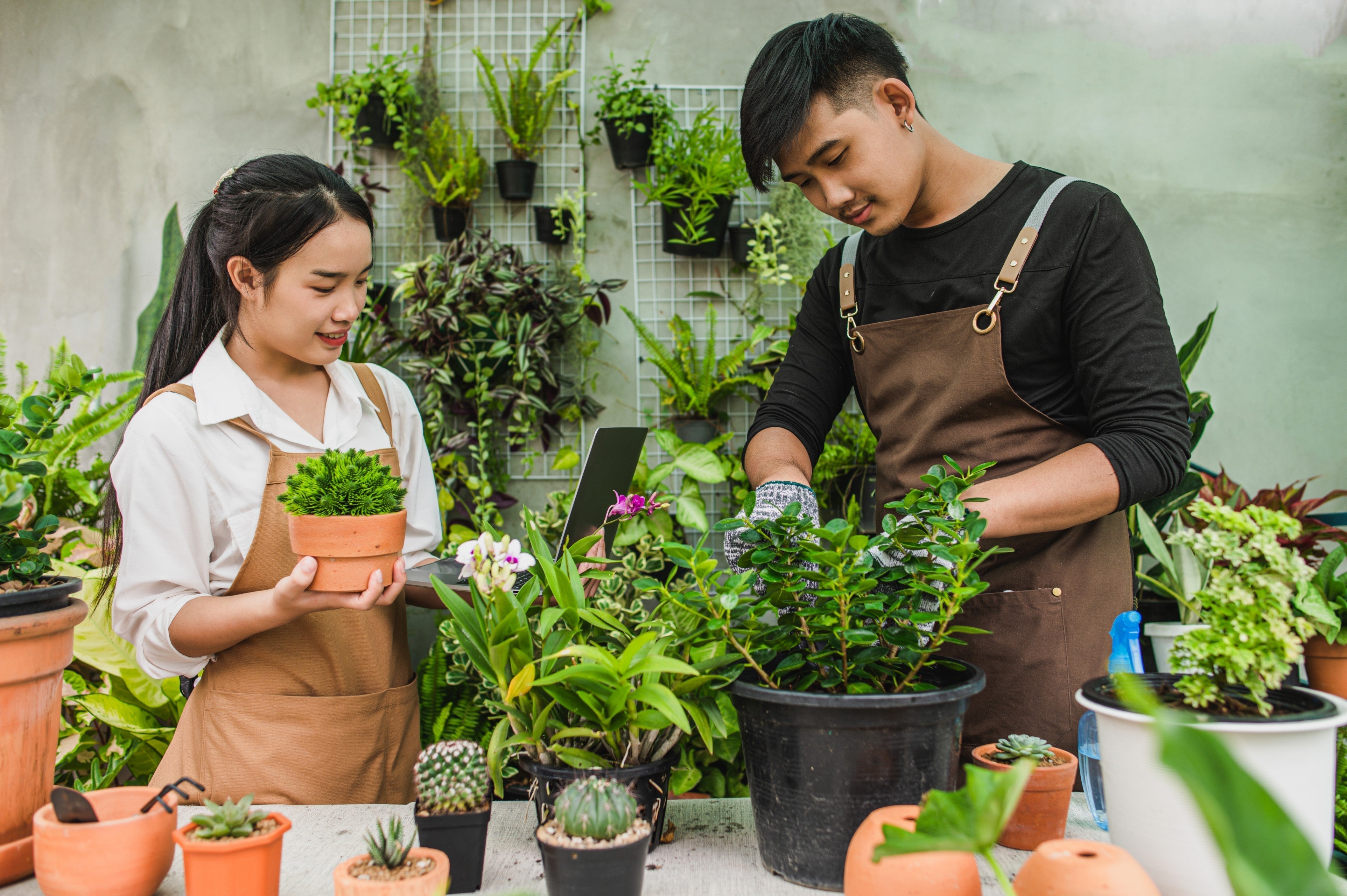 Indoor & Outdoor Pots
