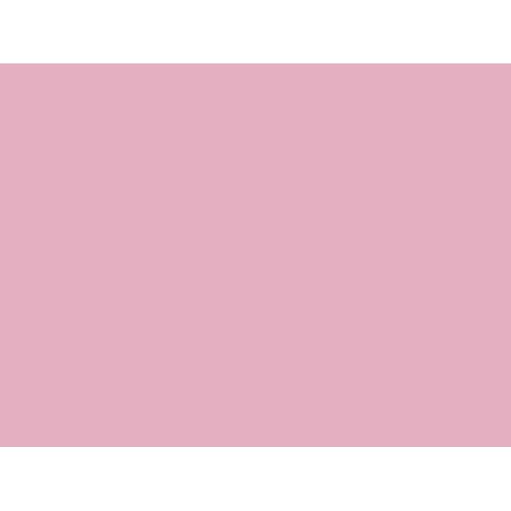 Card Sheet Double Sided 50x64cm 230gsm 17 Ballrina Pink SKU 130360 - Dollars and Sense