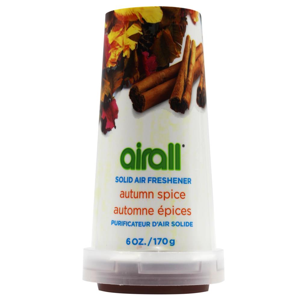 Airall Solid Air Freshener Deodorizer - Autumn Spice - Dollars and Sense