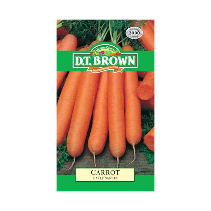 DT Brown Carrot Early Nantes Seeds