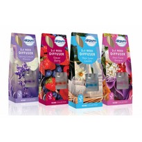 Airpure 2 In 1 Reed & Bead Diffuser - Dollars and Sense
