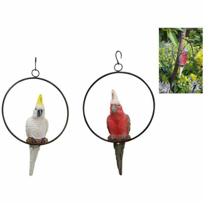 26cm Galah/Cockatoo in 20cm Ring 2 Ass - Dollars and Sense