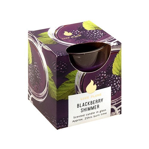 Blackberry Shimmer Scented Glass Jar Candle - 25 Hour - Dollars and Sense