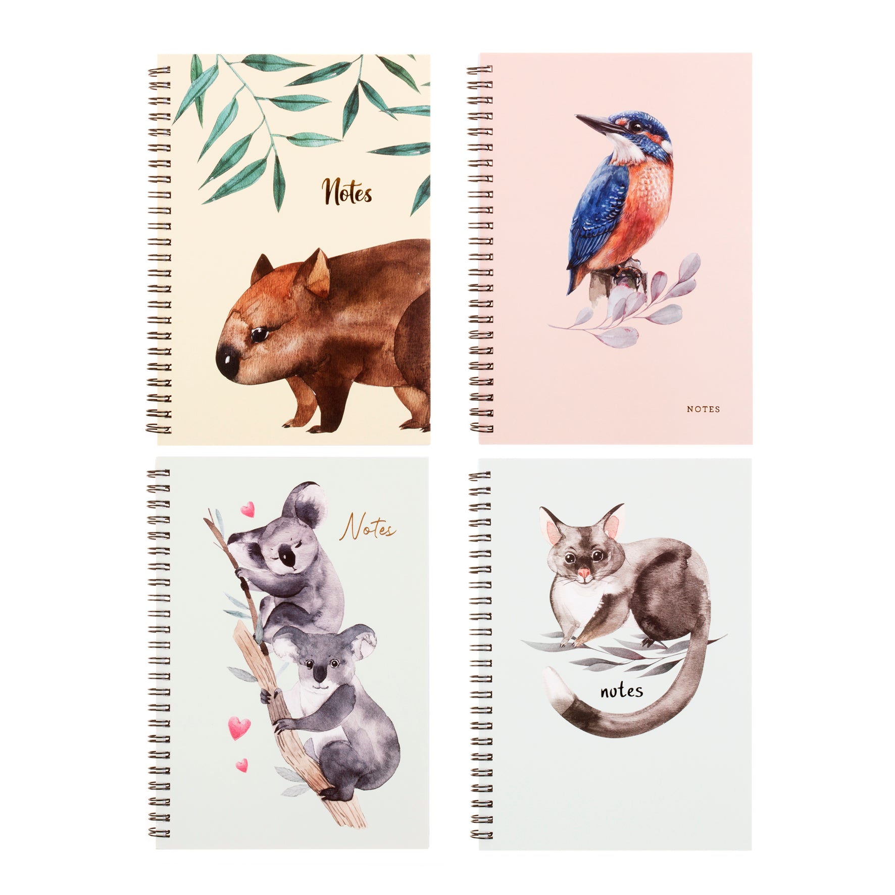 Spiral Card Notebook Australia Printed Cover - Assorted - Dollars and Sense