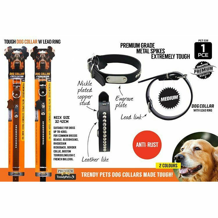 Tough Dog Collar with Lead Ring - Medium - Dollars and Sense