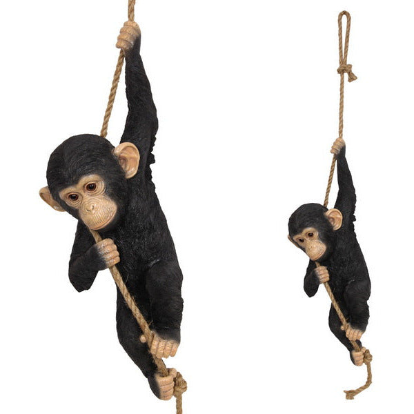Realistic Hanging Chimpanzee - Dollars and Sense