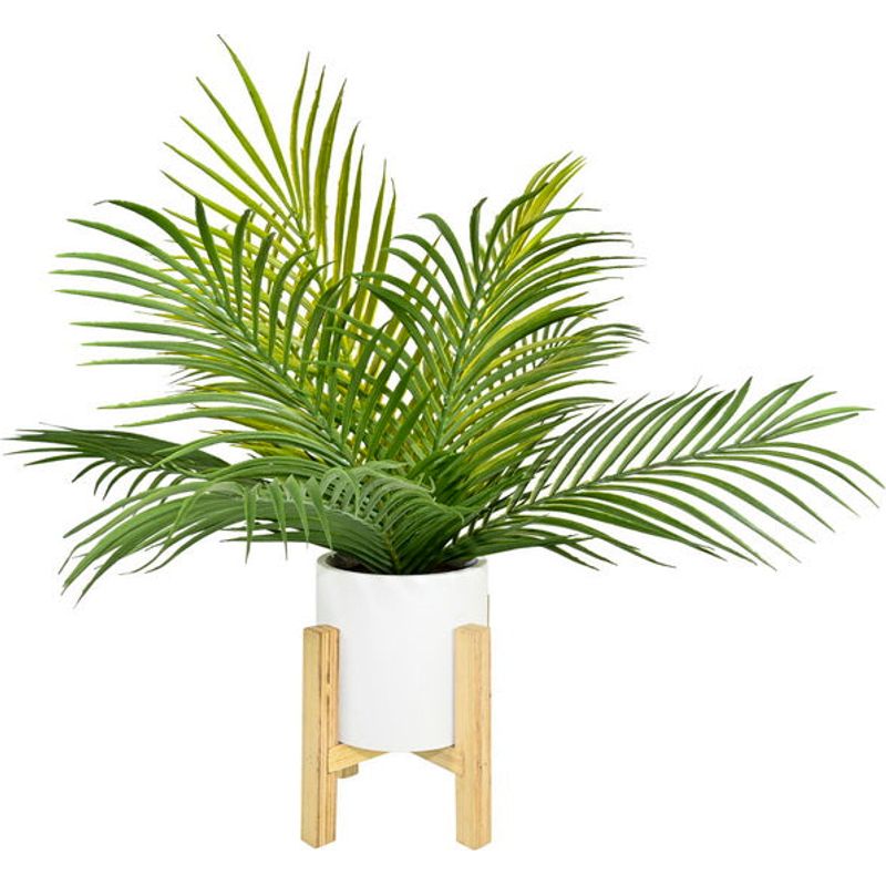 Fern in White Pot on Stand - Dollars and Sense