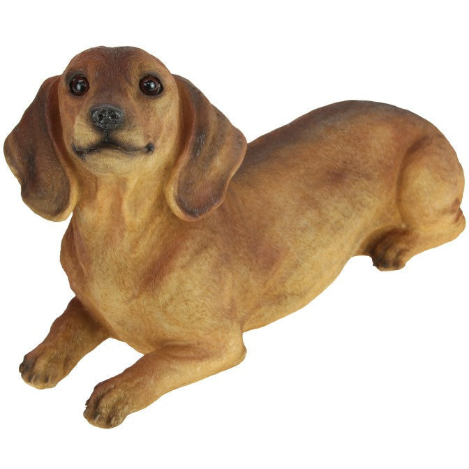 Laying Brown Dachshund Dog - Dollars and Sense