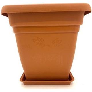 Square Flowerpot with Plate - Dollars and Sense