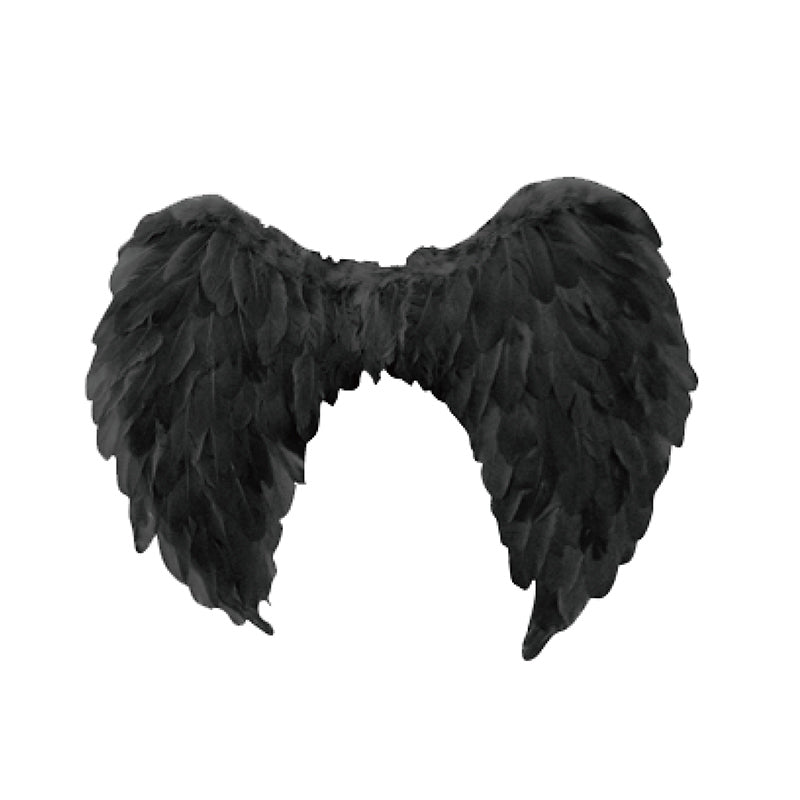 Black Angel Wing 60 x 40cm