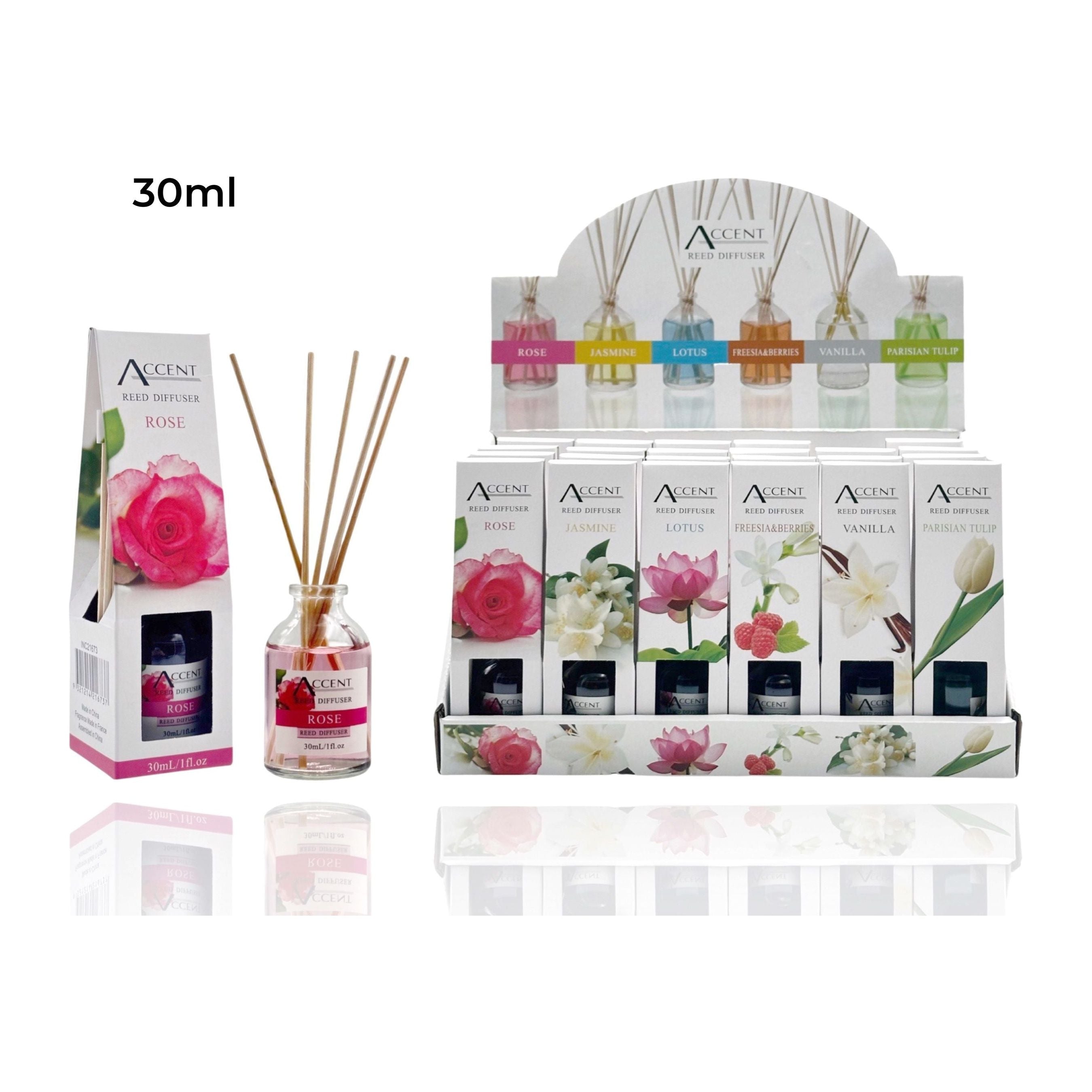 Reed Diffuser - Mini - Dollars and Sense