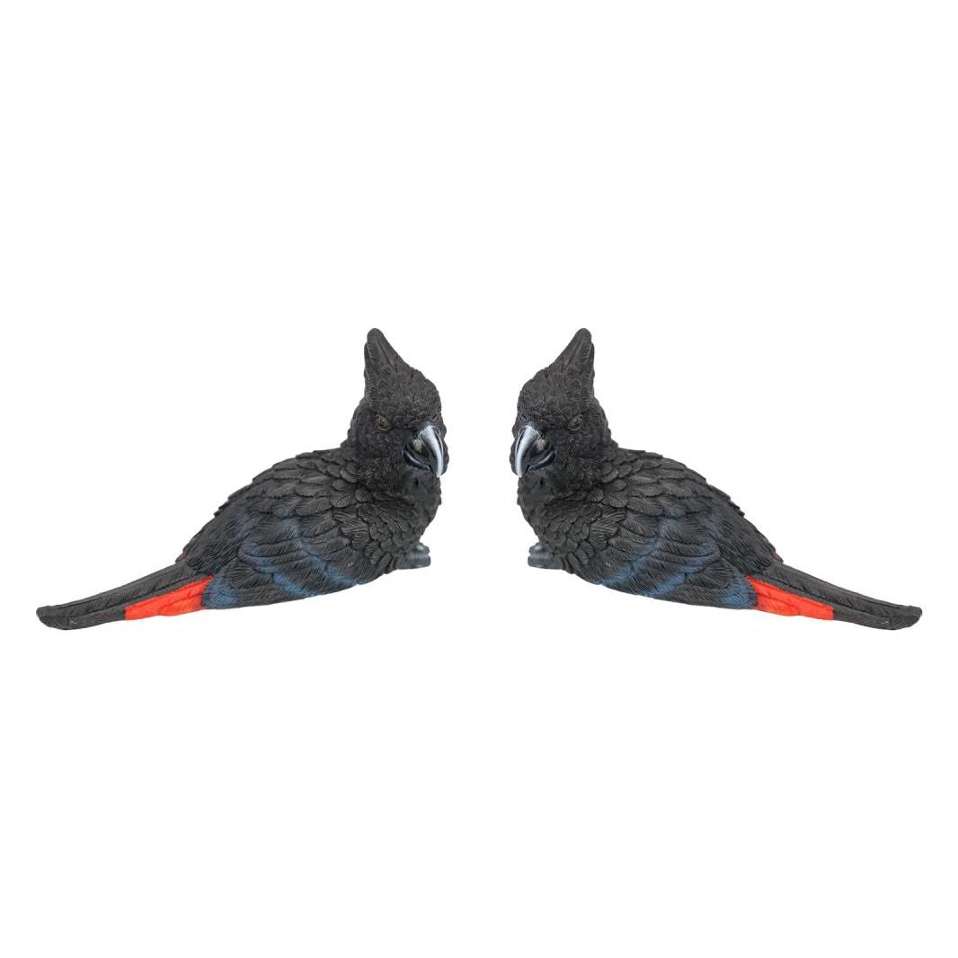 14cm Black Cockatoo Bird Paperweight SKU COCBPW - Dollars and Sense