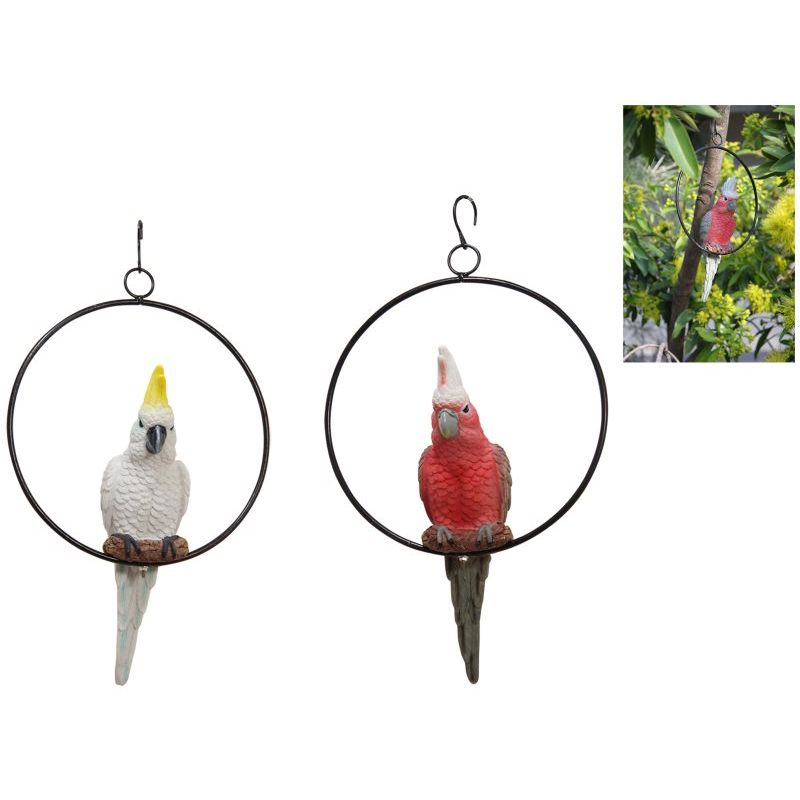 26cm Galah/Cockatoo in 20cm Ring 2 Ass SKU GALRING - Dollars and Sense