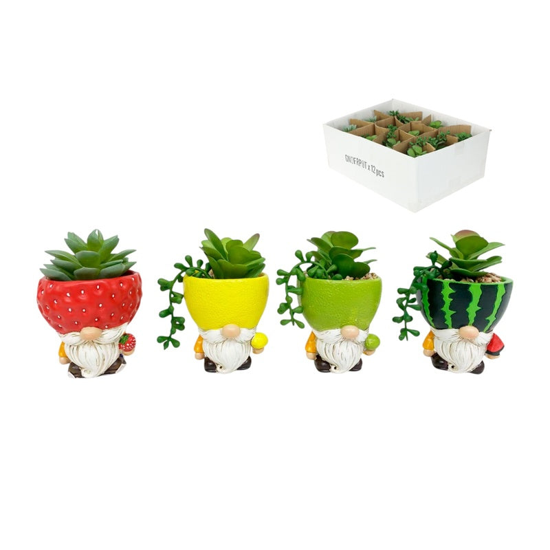 12cm Sitting Gnome Fruit Pot w/Succulent SKU GNOFRPOT - Dollars and Sense