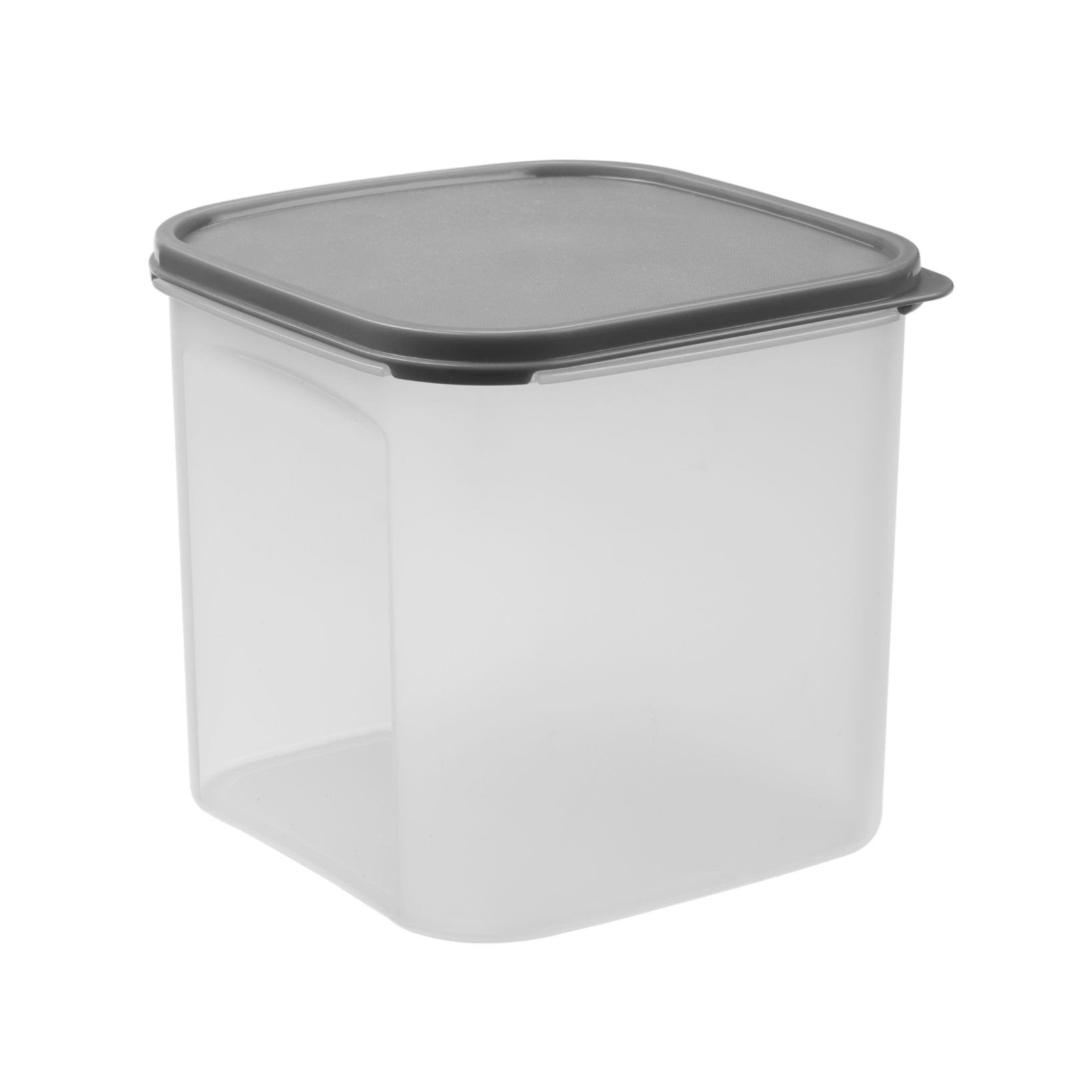 4L Dry Food Container With Black Lid Pk1