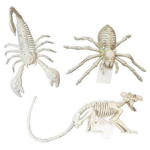 Skeleton Animals Light Up
