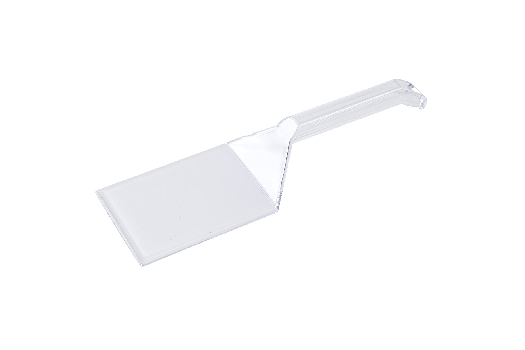 245mm Clear Food Server Pk2