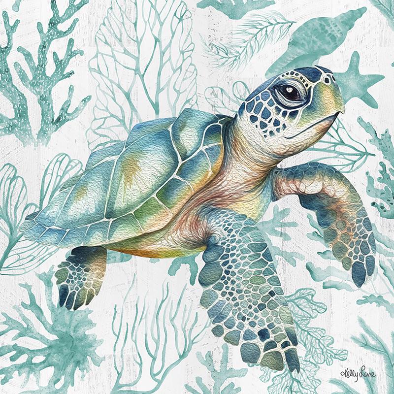 Canvas - Turtle - Dollars and Sense