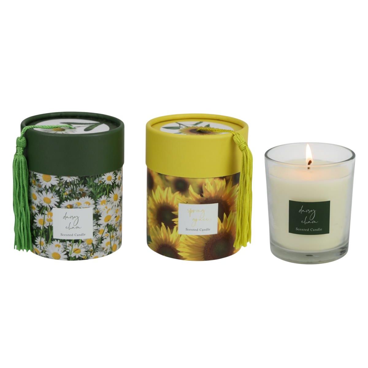 200g Sunflower/Daisy Candle SKU KLSDCAN - Dollars and Sense