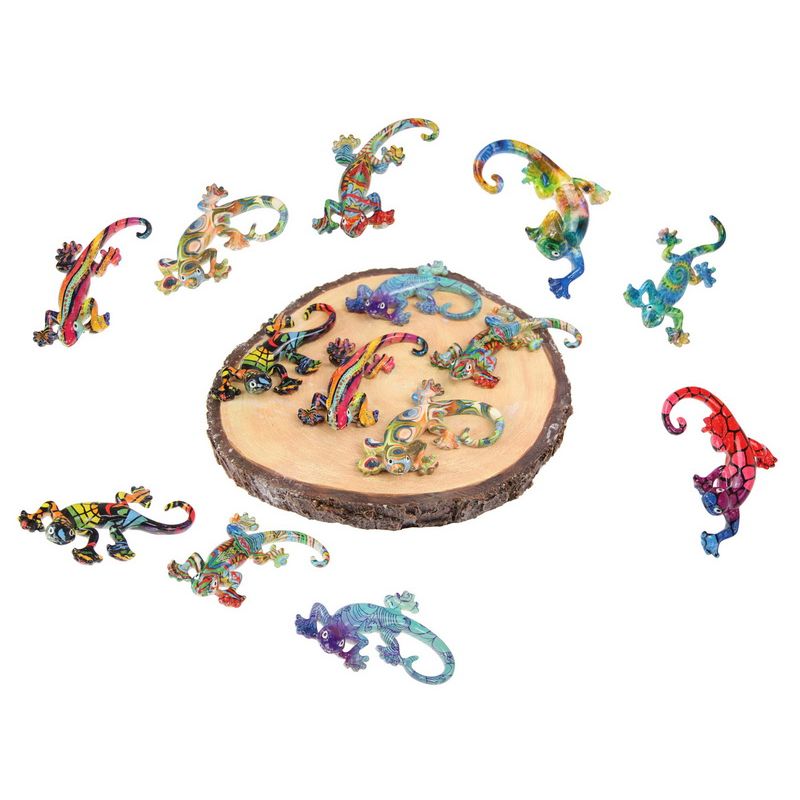 9cm Multi Coloured Lizard on Display