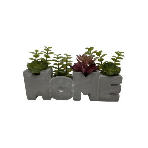 Home Flower Pot with Plastic Succulents 25.3x6x17cm