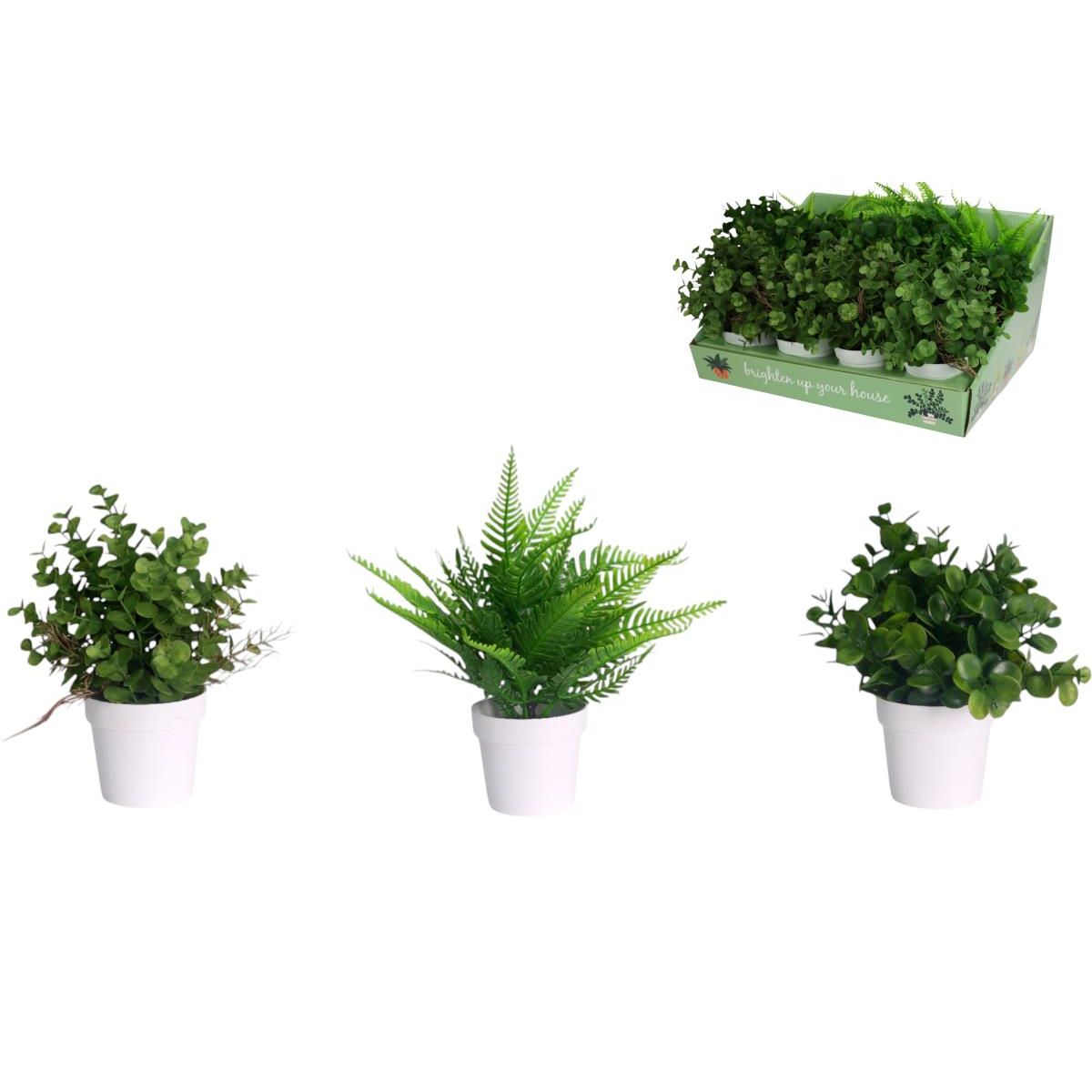 18cm Greenery in Pot 3 ass SKU PLAFEGRDB - Dollars and Sense