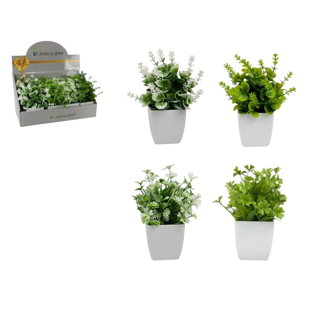 17cm Plant in White Square Pot 4 Ass SKU PLASQPOT - Dollars and Sense