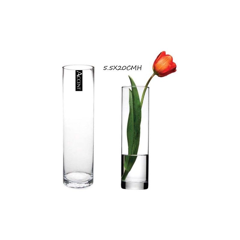 Clear Glass Vase - Cylinder - Dollars and Sense