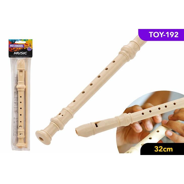 Recorder with Cleaning Rod SKU TOY-192 - Dollars and Sense