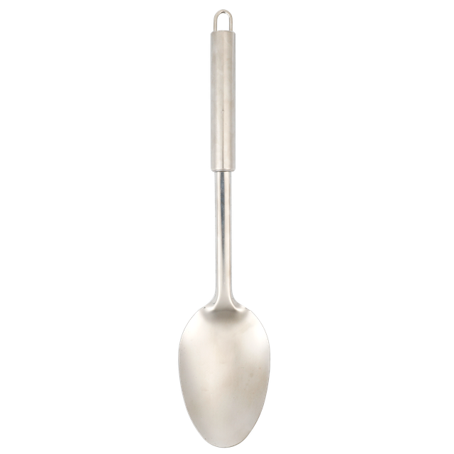 Cooking Spoon - Stainless Steel - Dollars and Sense