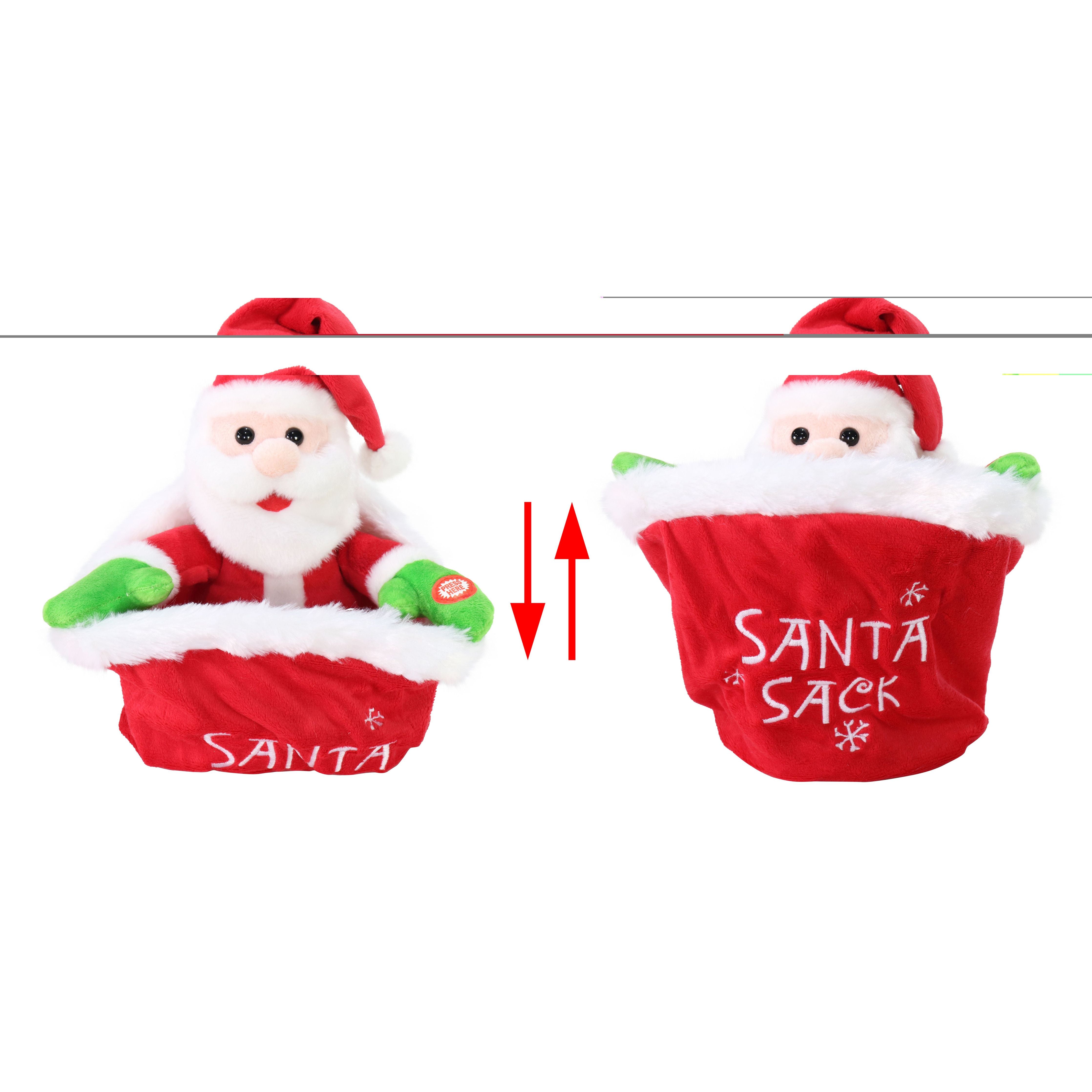 Hide N Seek Character In Santa Sack