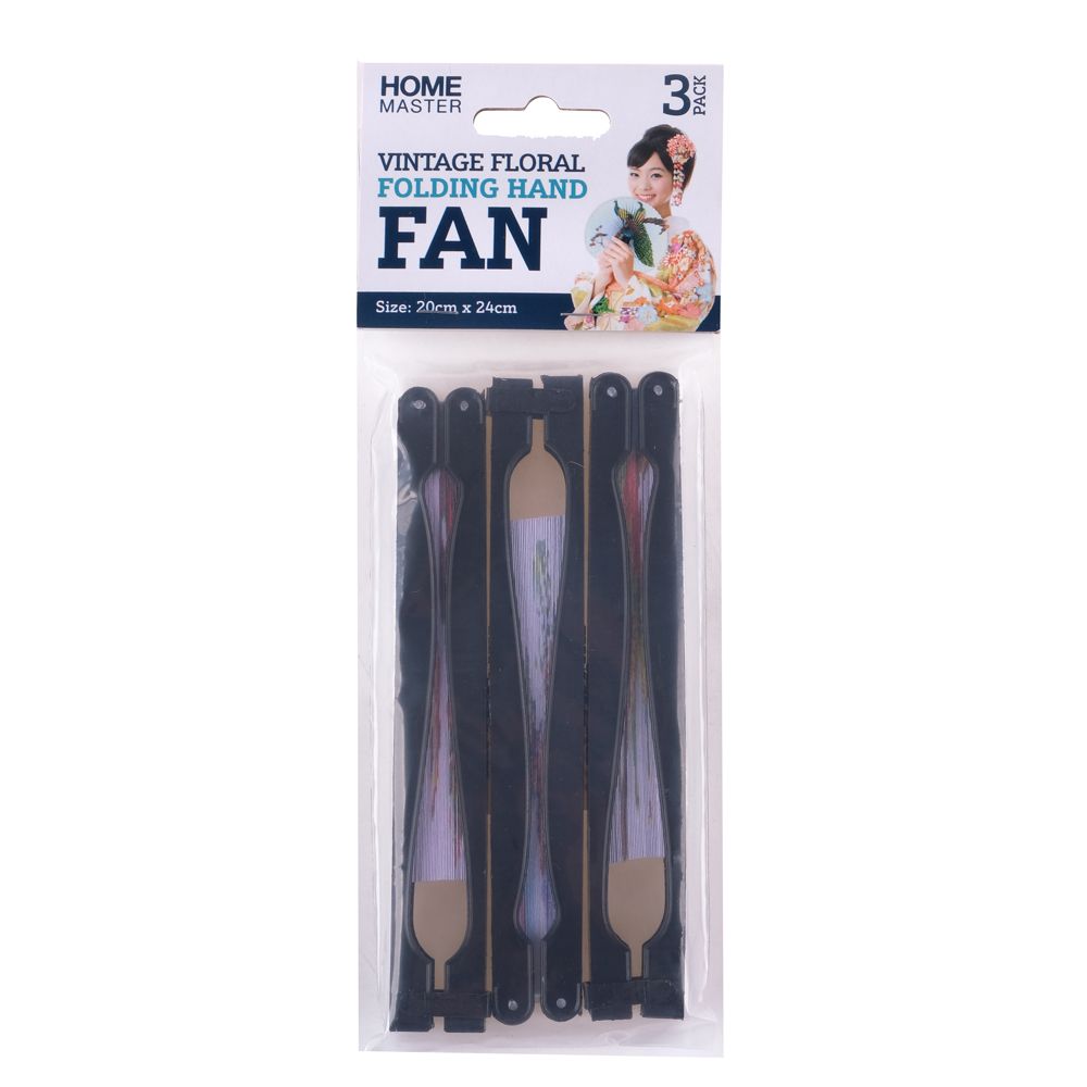 Folding Hand Fan - Dollars and Sense