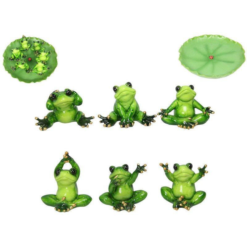 6cm Marble Frogs in Lilypad Display - Dollars and Sense