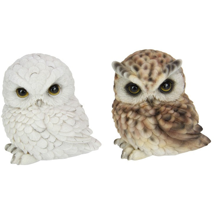 12cm Cute Sitting White Owl - Dollars and Sense