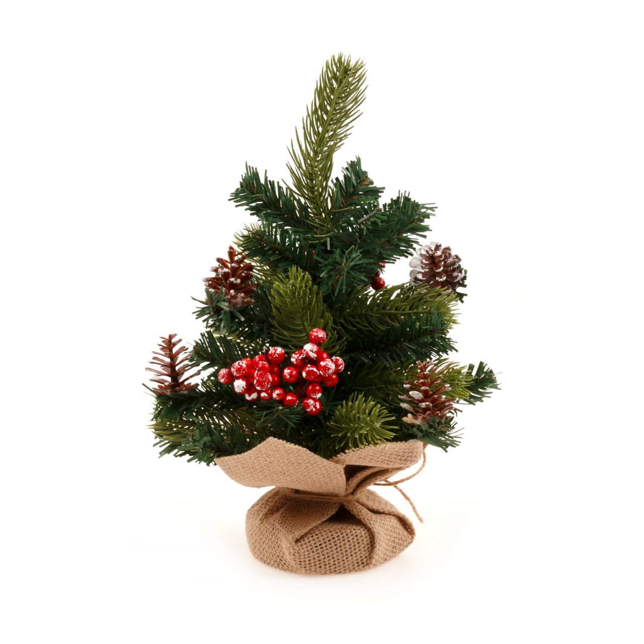 Christmas Tree - Decorated - Dollars and Sense