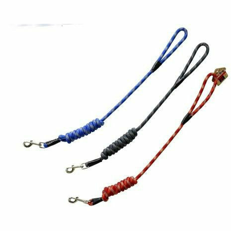 Pet Lead Cord - Dollars and Sense