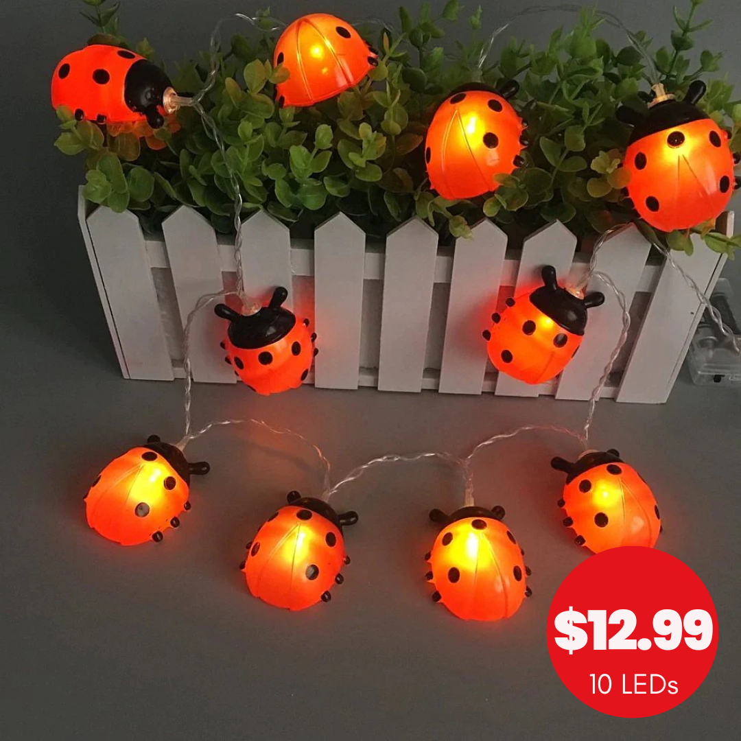 Solar String Light Ladybug 10 LED - Dollars and Sense